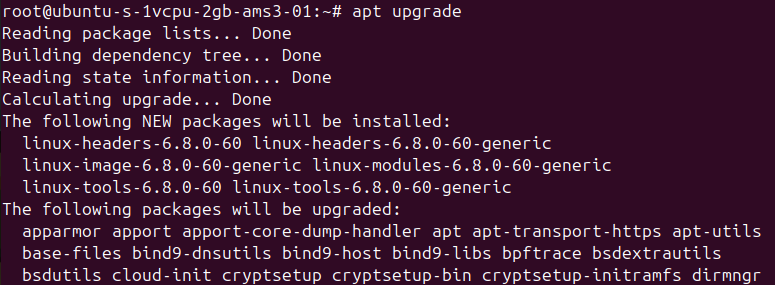 System Upgrade Process