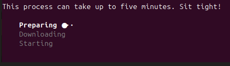 Enter Domain Name Prompt